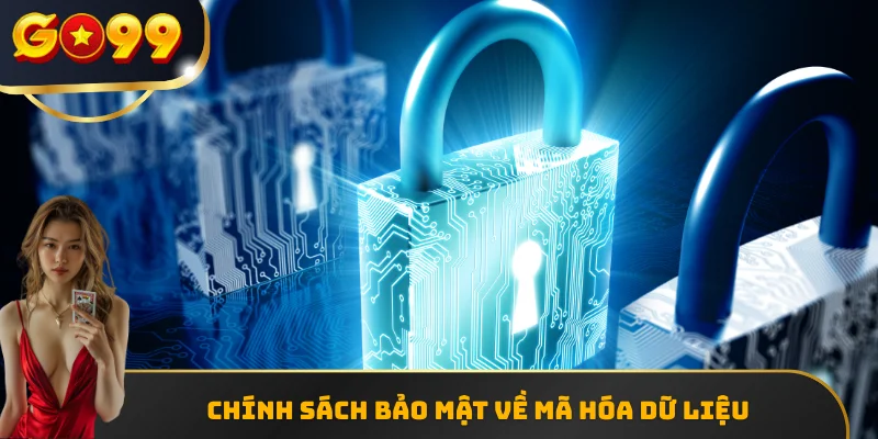 Chính sách bảo mật tối ưu về mã hóa dữ liệu